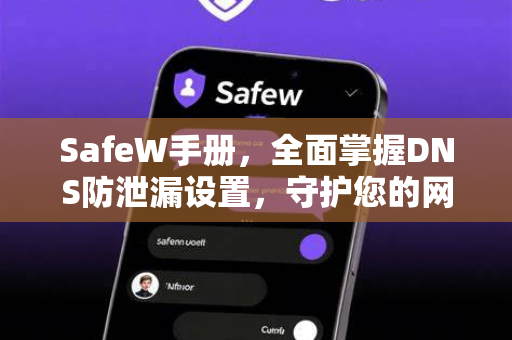 SafeW手册，全面掌握DNS防泄漏设置，守护您的网络安全