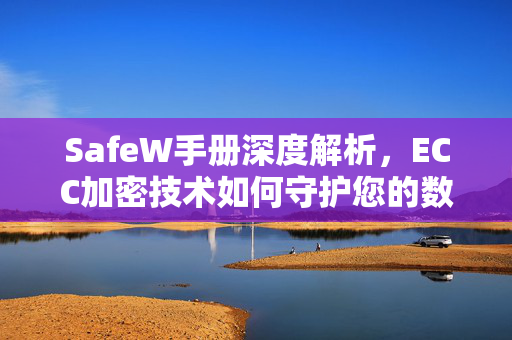 SafeW手册深度解析，ECC加密技术如何守护您的数字安全