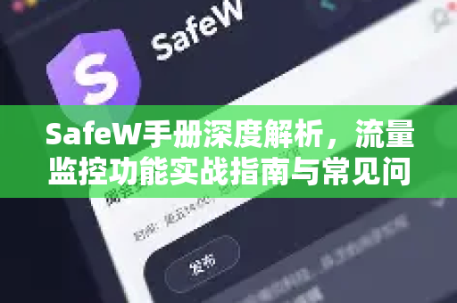 SafeW手册深度解析，流量监控功能实战指南与常见问题解答