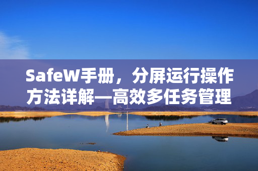 SafeW手册，分屏运行操作方法详解—高效多任务管理的终极指南