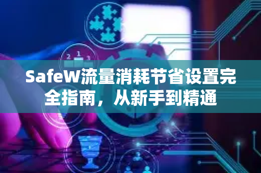 SafeW流量消耗节省设置完全指南，从新手到精通