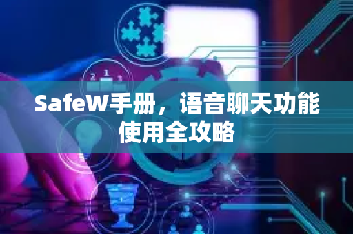 SafeW手册，语音聊天功能使用全攻略